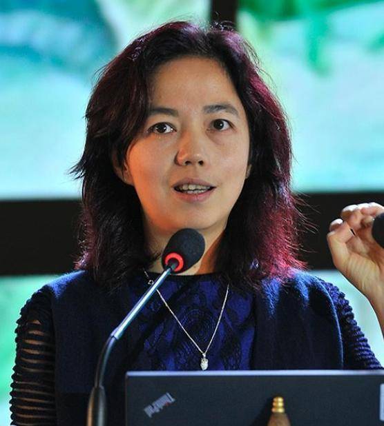 "如果我获诺奖,一定是以中国人的身份"顶尖华裔院士李飞飞直言