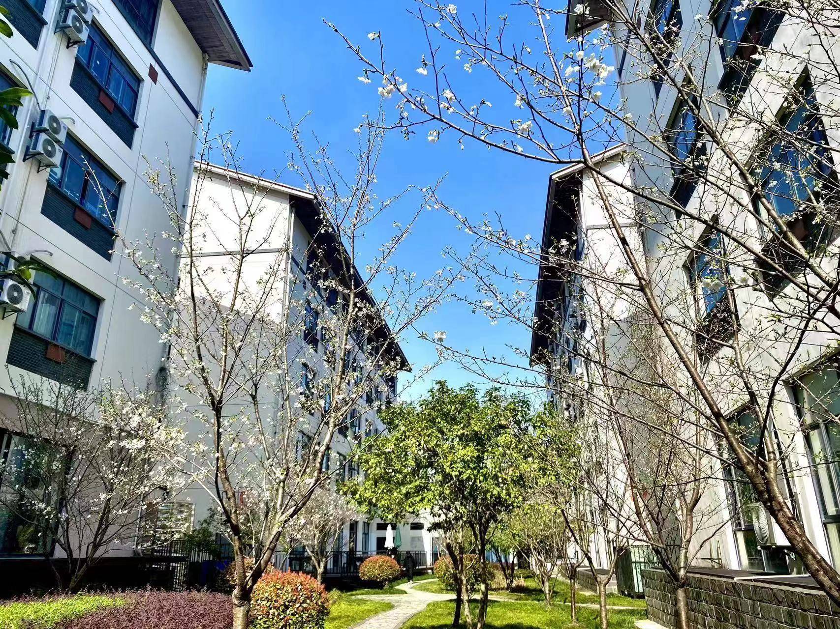 百分百高复免费试学!