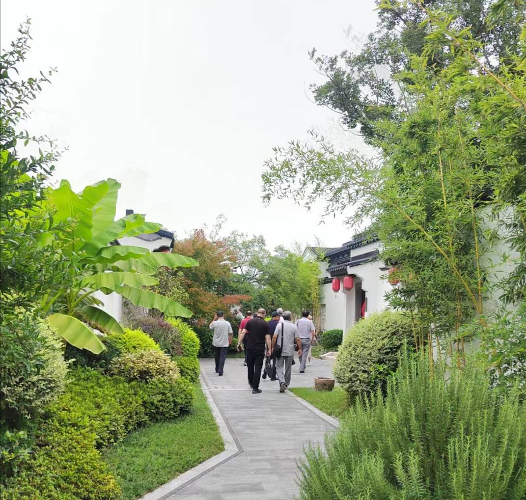 枣林湾是一轴丹青水墨画卷