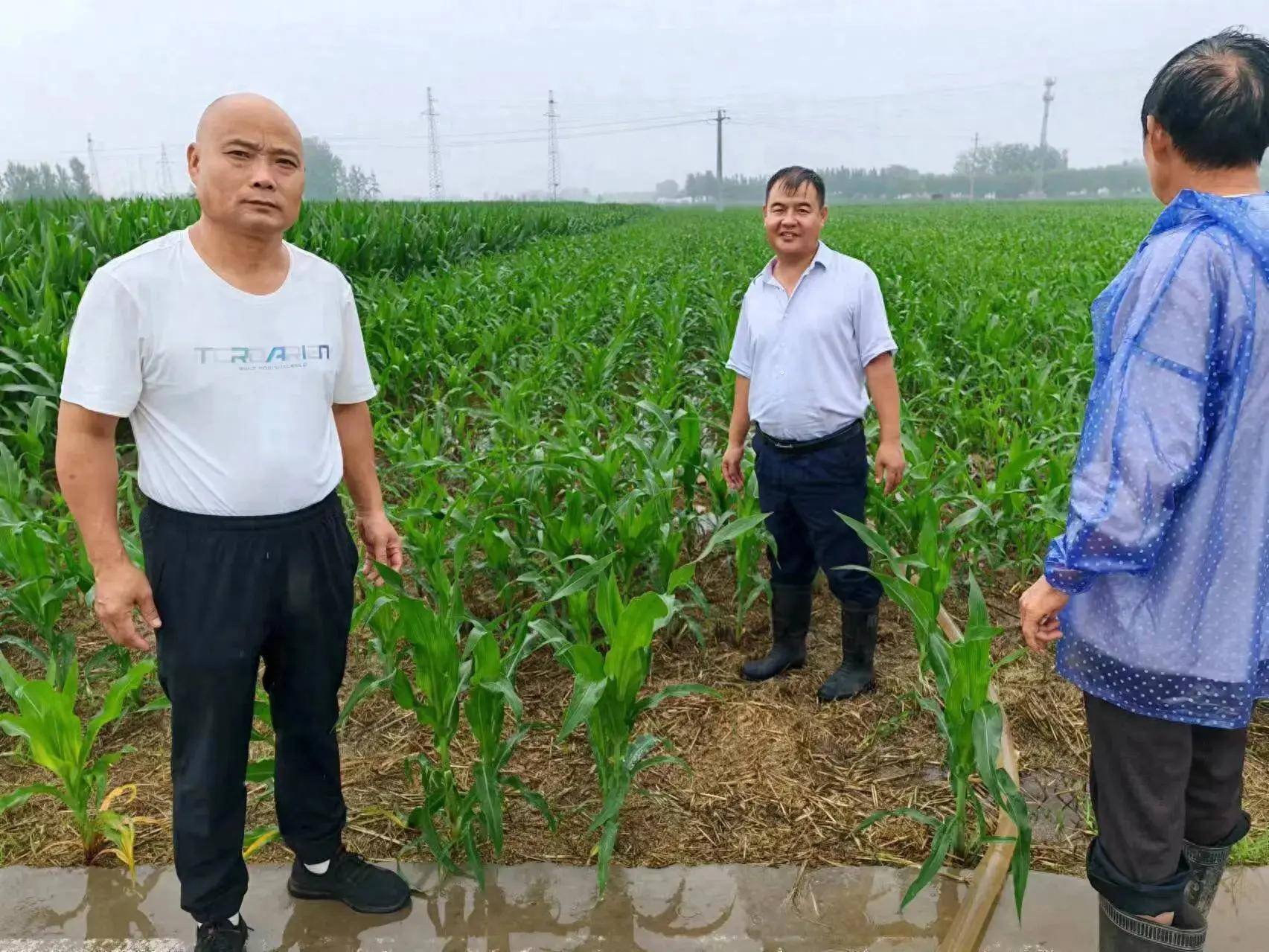 嘉祥一中 老师图片