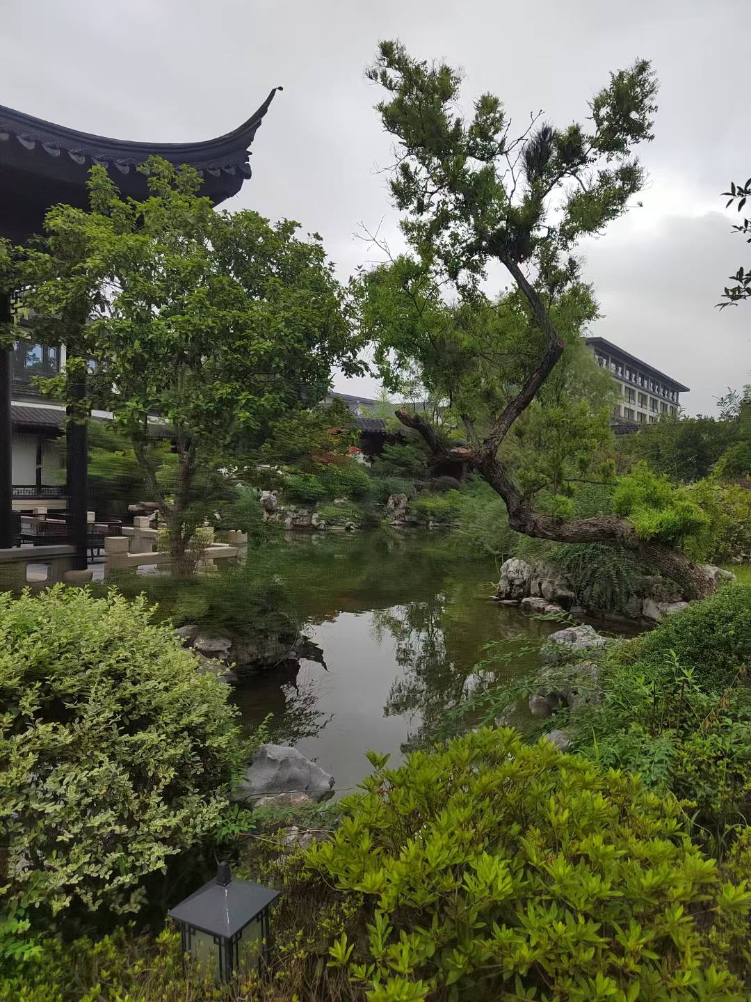 参观完桃里春风,开始乘观光车游览枣林湾核心景区——世界园博园.