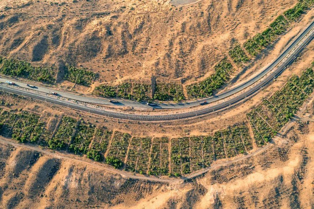 宁夏,这"泼天的富贵"接住了!
