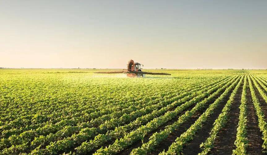 以色列卡施特特种肥引领农业发展进入新时代!