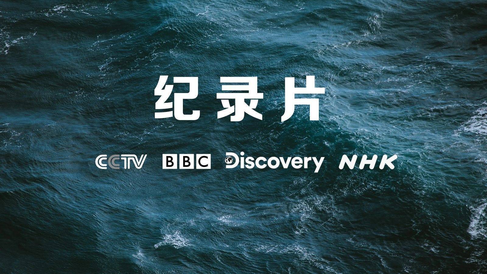 nhk纪录片《久石让在武道馆:与宫崎骏动画一同走过的