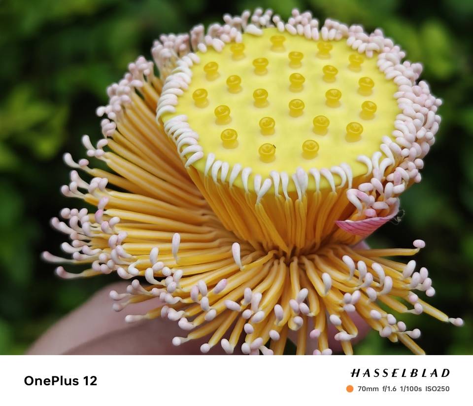 从小米13Ultra升级到一加12真实体验分享!