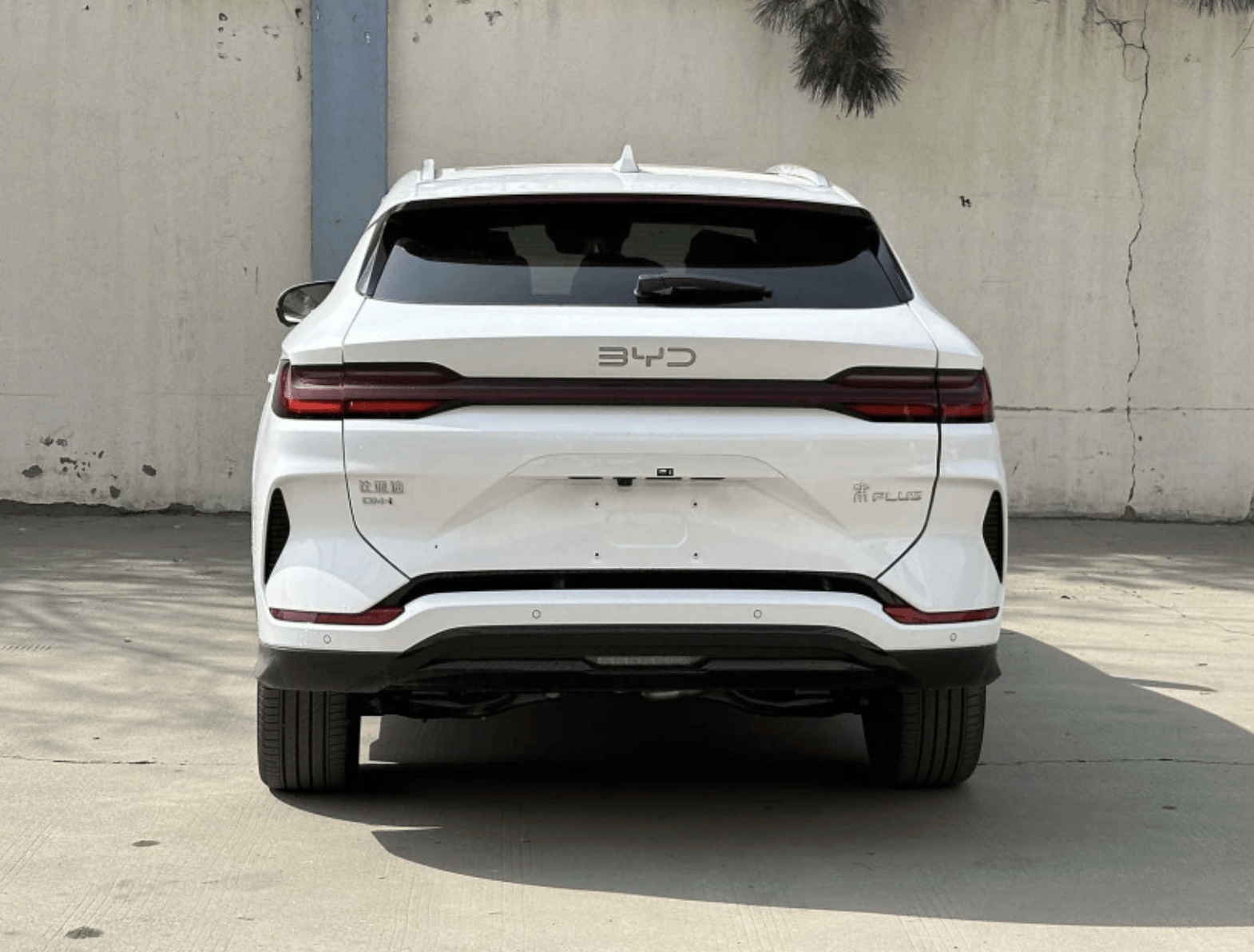 2025款宋PLUS DM-i亮相/纯电MPV车型BYD M6印尼首发_搜狐汽车_搜狐网