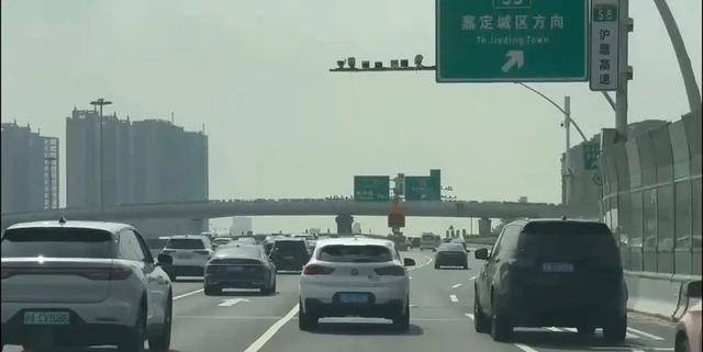 上海车主叫苦，被这条线坑惨！-上海车辆查询电话