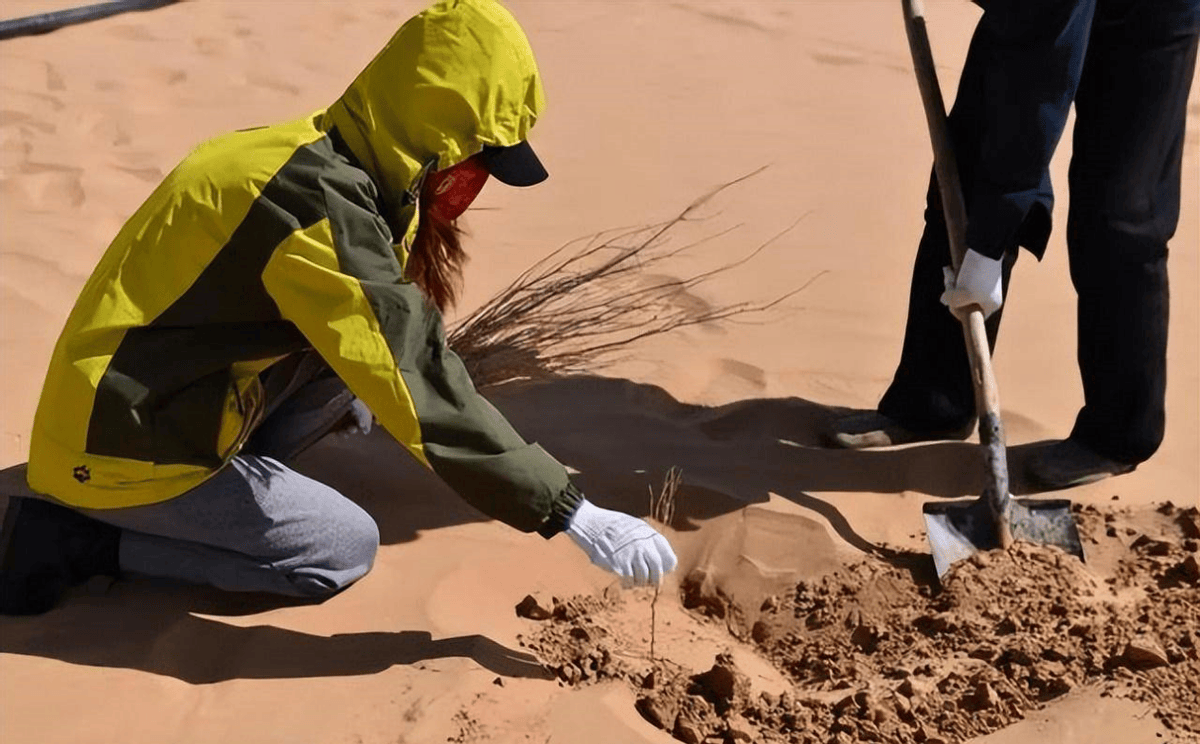 沙漠难道不应该植树造林?为何外国人警告说:沙漠植树弊大于利