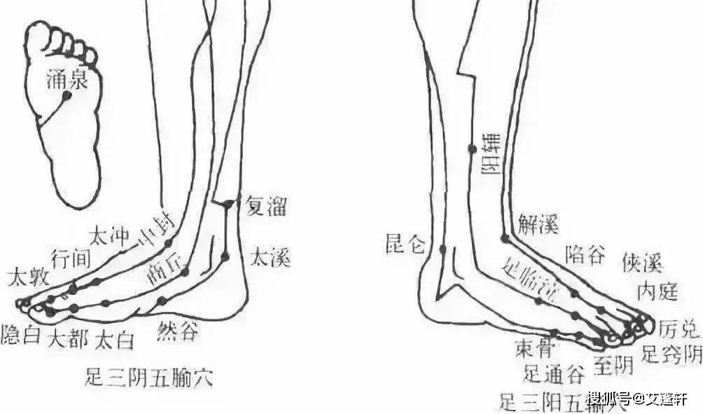 趁着三伏