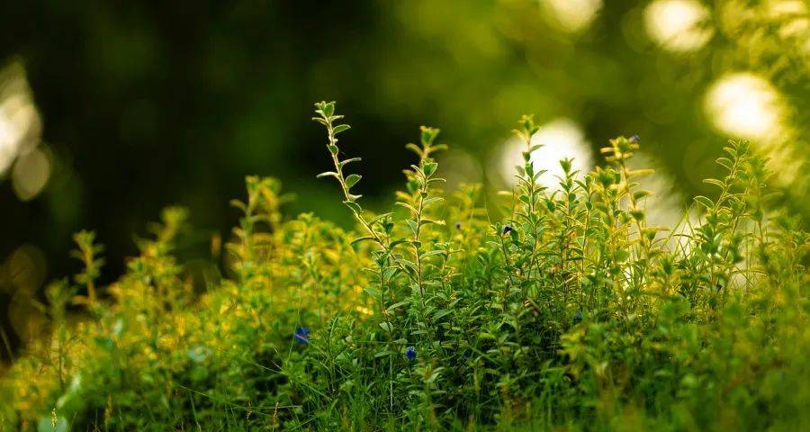 家电厂商的市场经营和商业竞争必须脱虚向实-家电圈官网