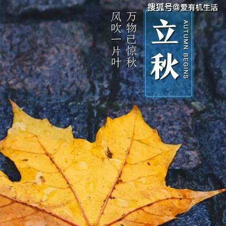 立秋時(shí)間2024年_立秋時(shí)間2024年幾點(diǎn)幾分_2024立秋時(shí)間