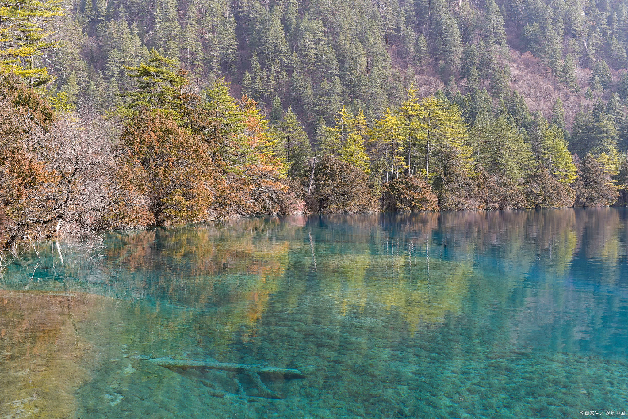 四川旅游景点排名前十名(四川旅游景点排名前十名 自然风景)