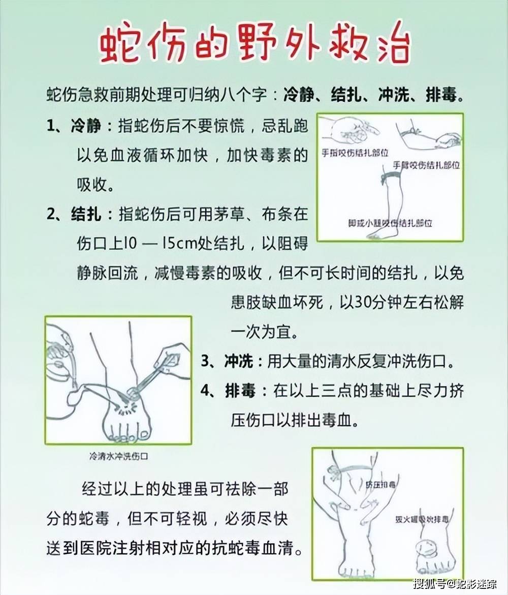 肇庆男子被毒蛇牙齿咬穿鞋扎入肉 疑似蝰蛇,以后要当心草丛了!