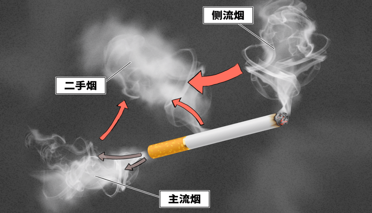 4亿人受影响:二手烟带来的健康威胁有多大?