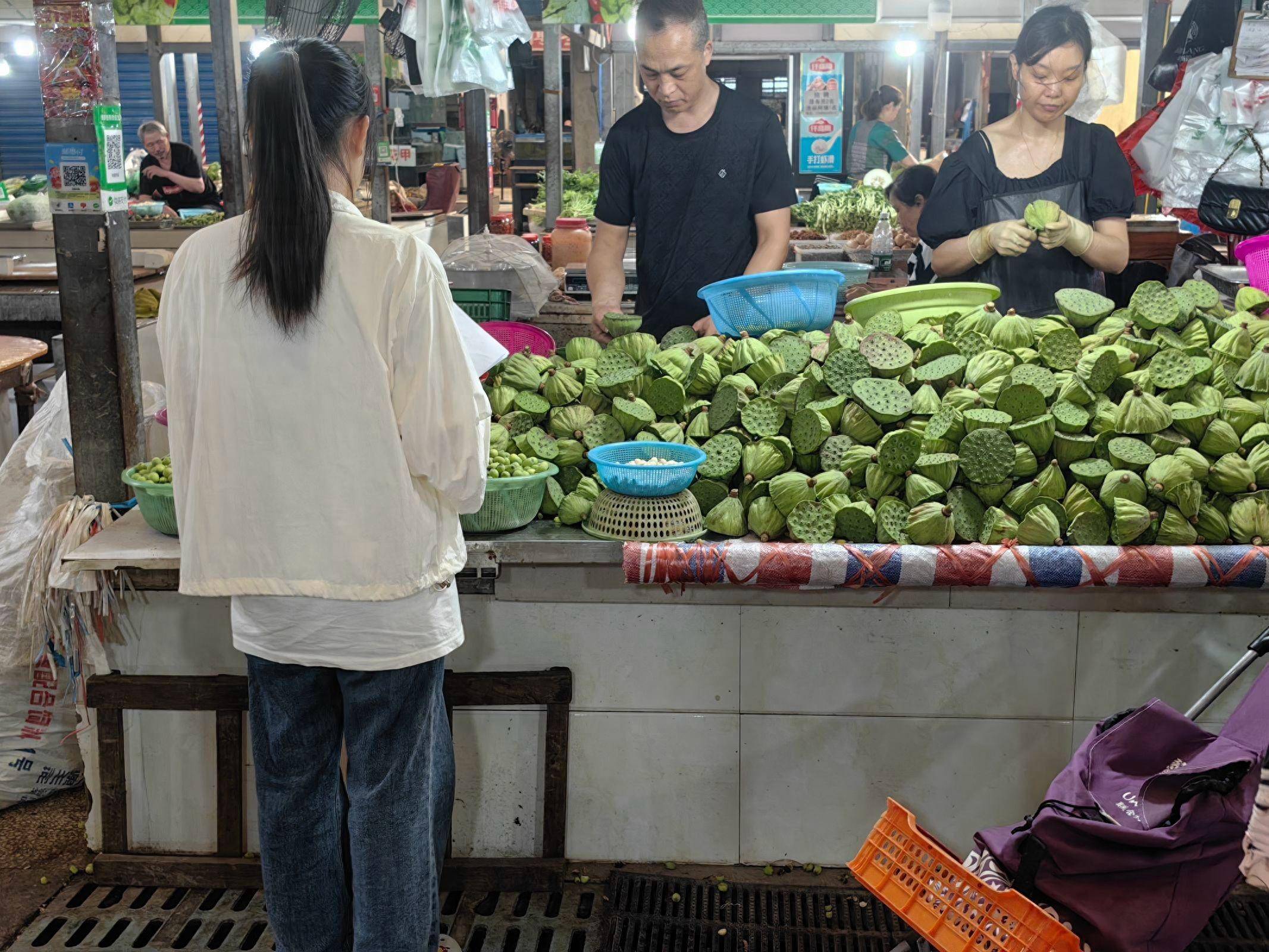 三下乡实践:探寻洪湖特产"莲"的魅力