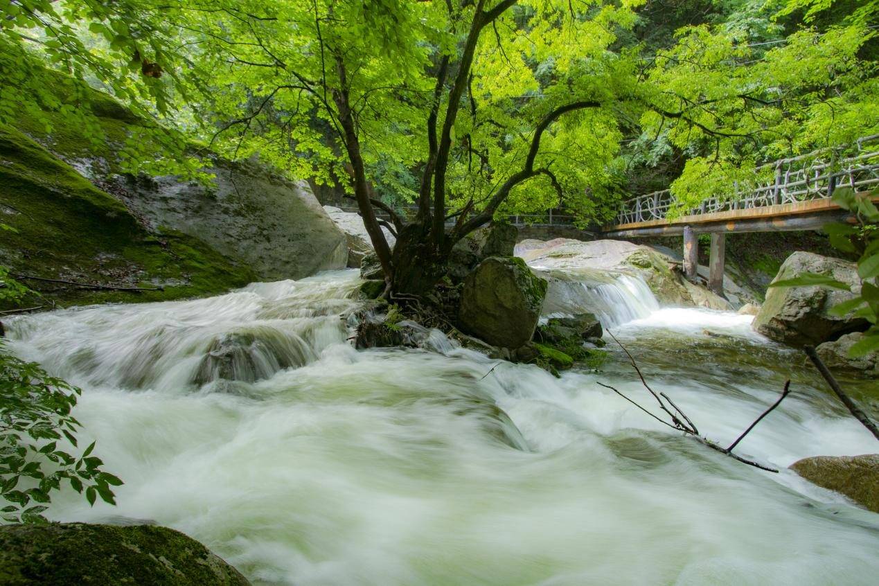 重磅!仲夏夜的梦幻盛宴 龙峪湾大型篝火晚会本周六准时开启
