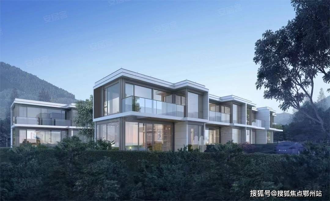镇:这里不止有约2/3森林覆盖率,约7万亩群山,原生森林,千年萧山树王