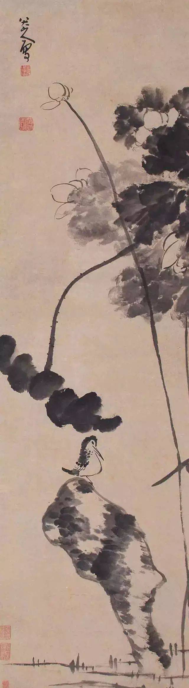 八大山人的荷花小鸟,这才是中国水墨