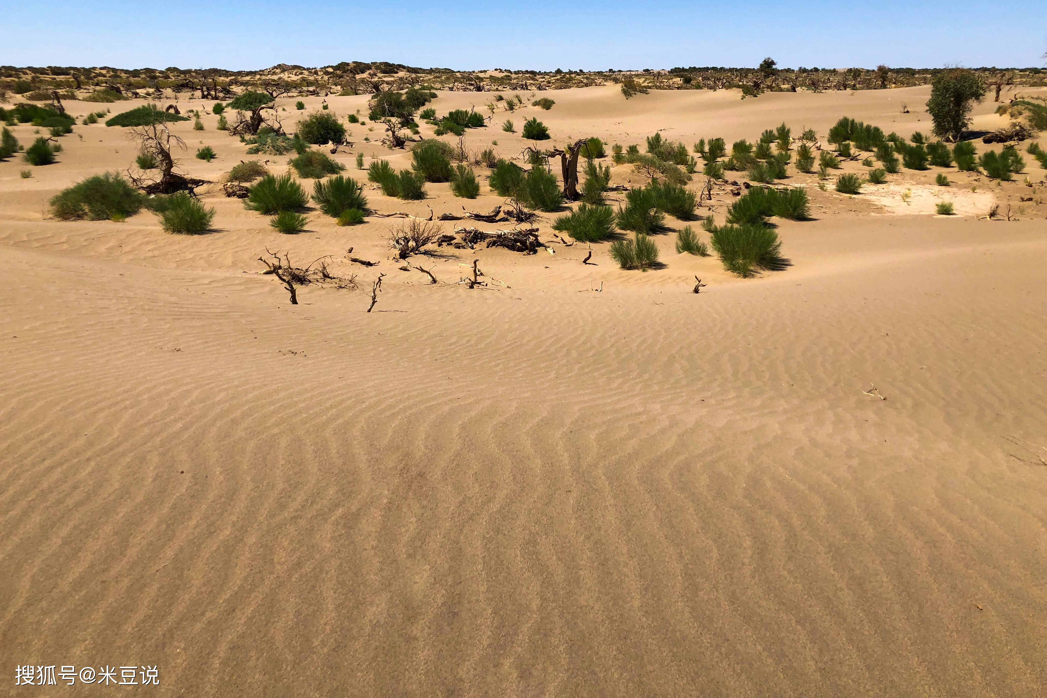 一个被沙漠和戈壁耽误的高原,实则是一座资源宝库_内蒙古_荒漠_驼铃
