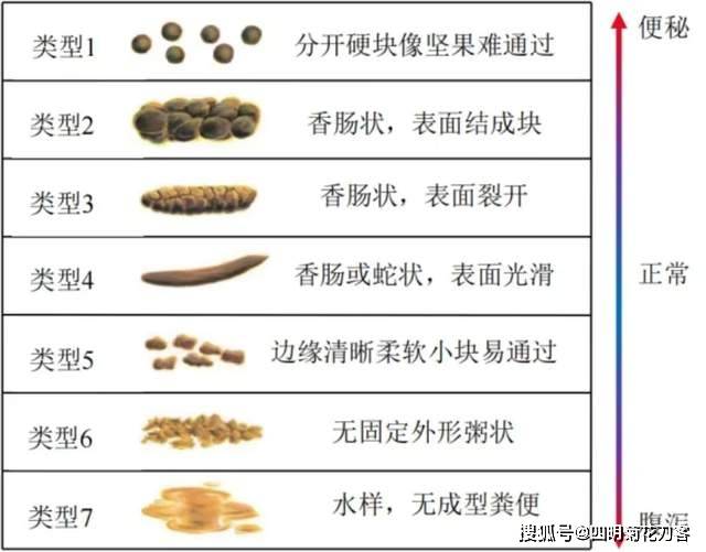 柏油样便提示图片