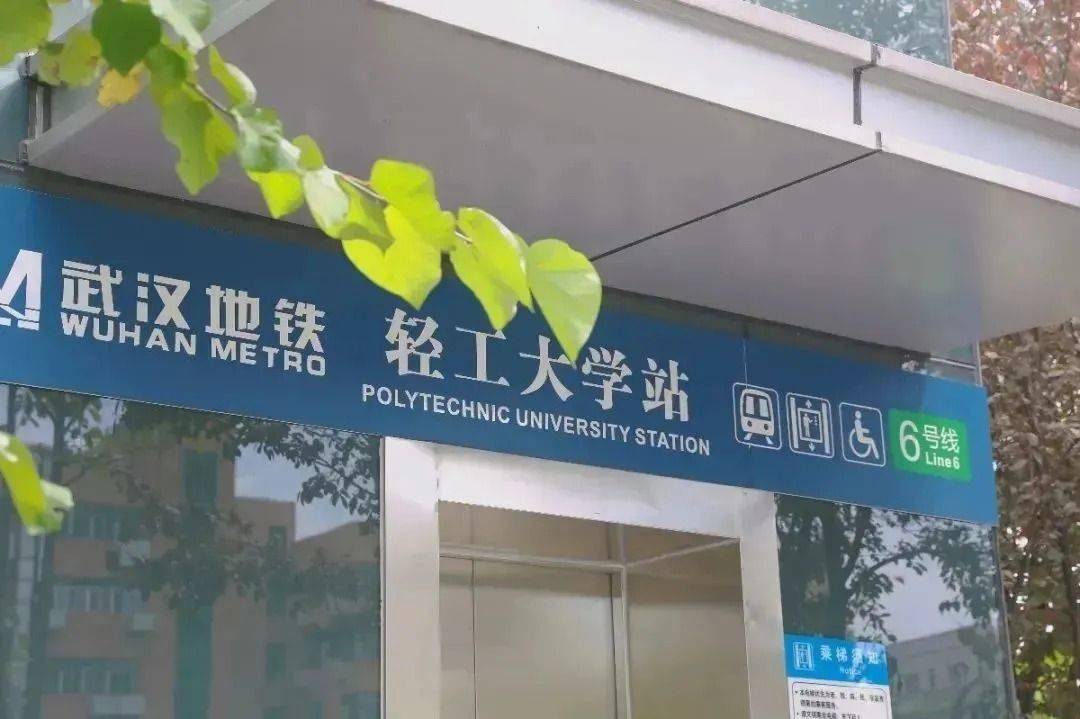 武汉轻工大学平面图图片