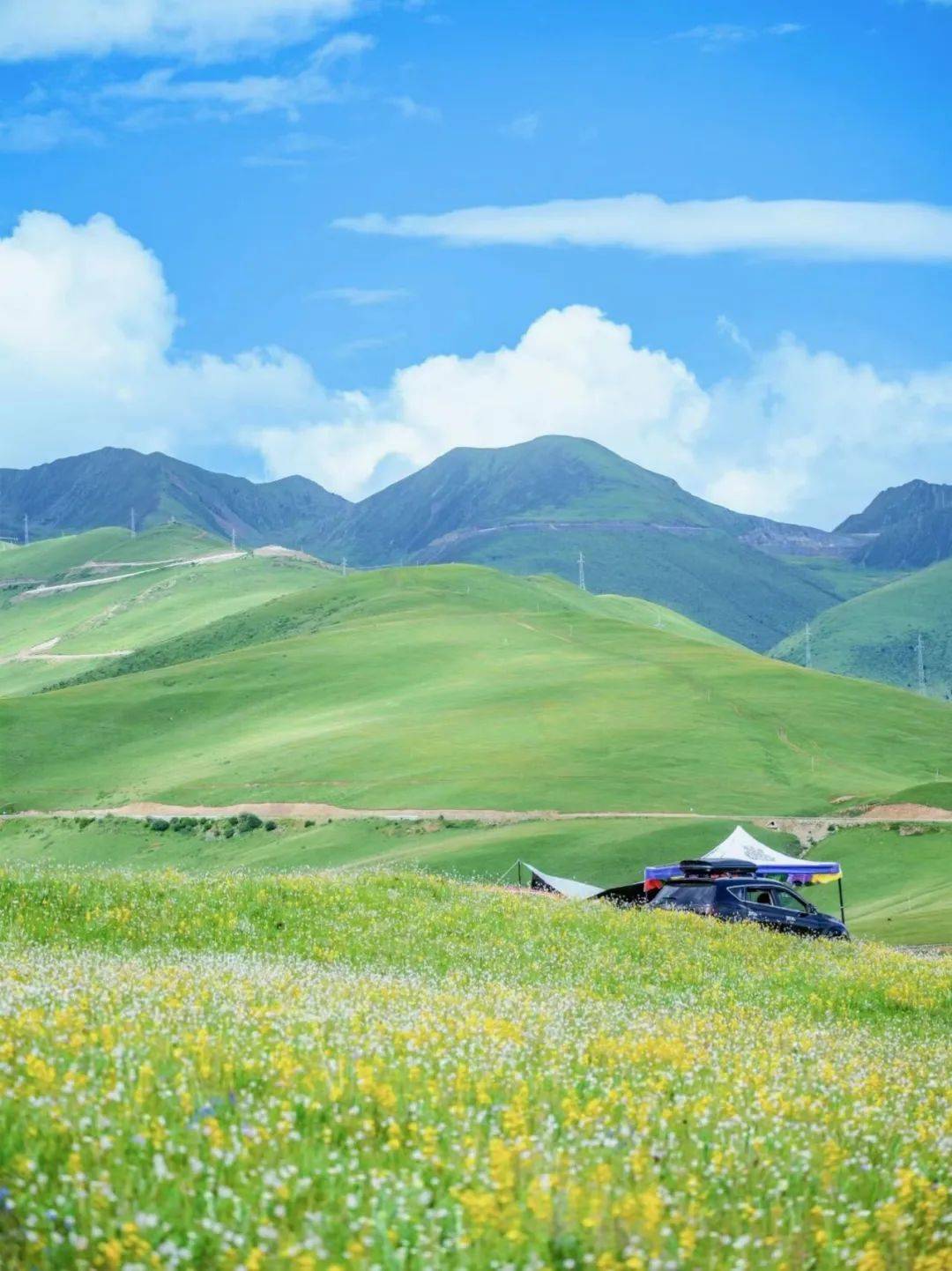 旅游四川·甘孜 | 花季正当时 在玉科找到人生的25号底片