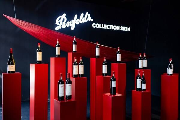 Ķ  Penfolds2024ϵзƷ180䱱