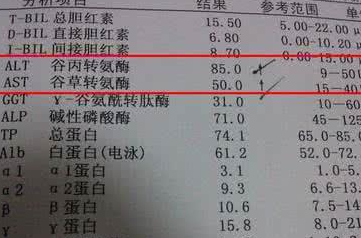 乙肝转氨酶偏高,常用"两物"泡水,可以养肝降酶