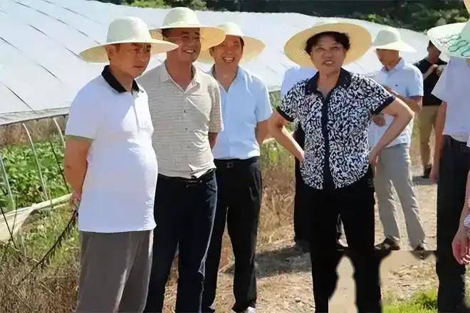 矛头指向毛奇背后的"保护伞,北京律师团介入_汪霞_举报_工作