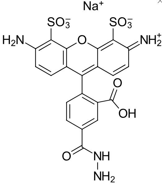 o2结构式图片