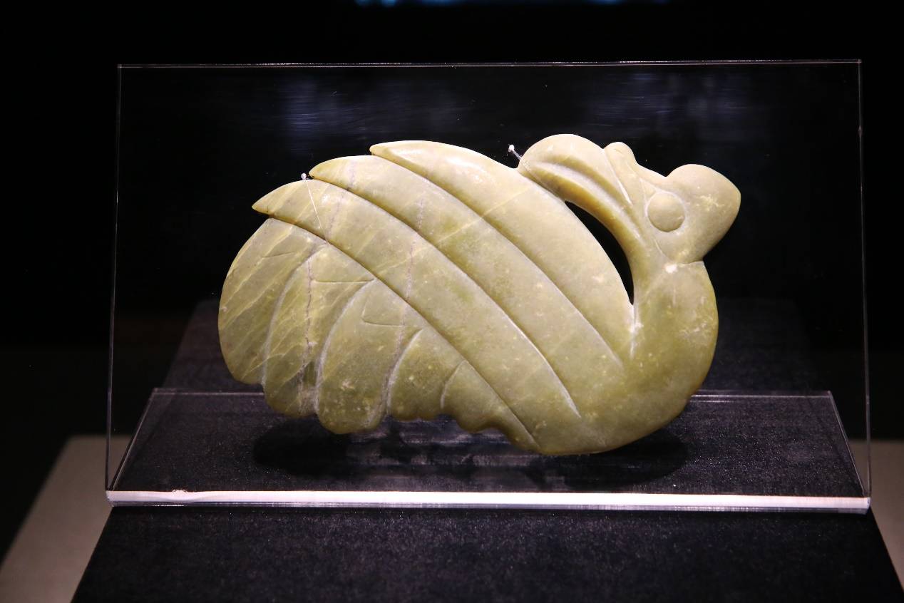 红山文化玉凤 田理 摄说到红山文化的龙,就不能不提红山文化的玉.