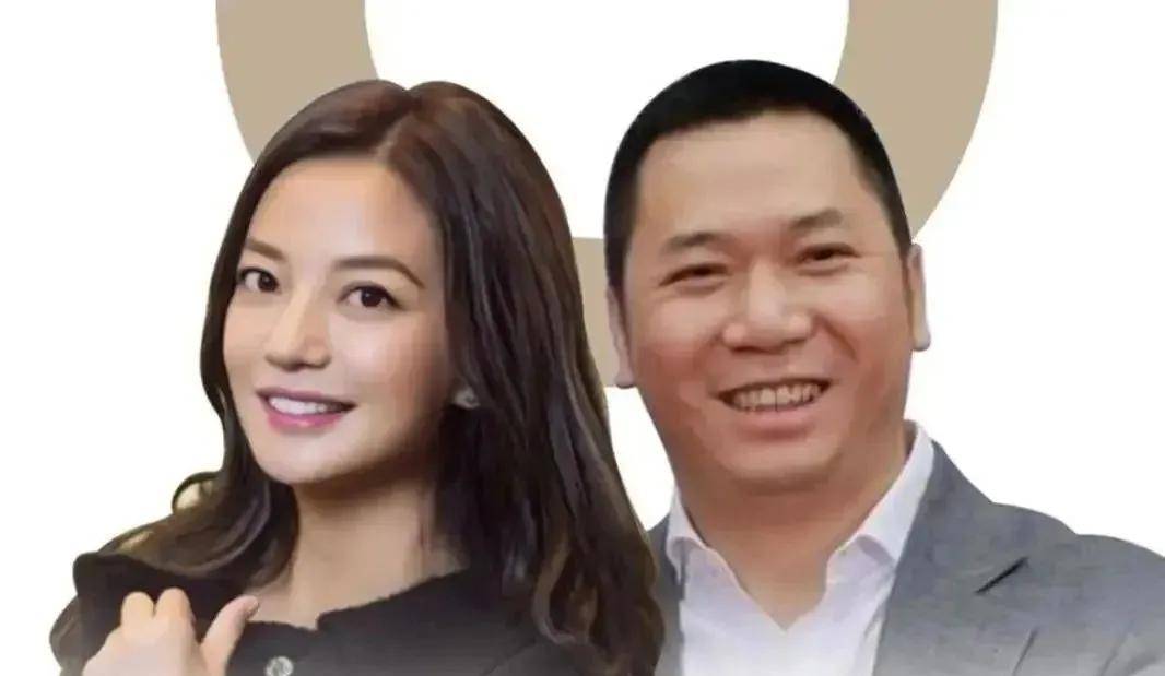 赵薇黄有龙跨国离婚手续,持续两年终办完,夫妻财产已经切割完毕