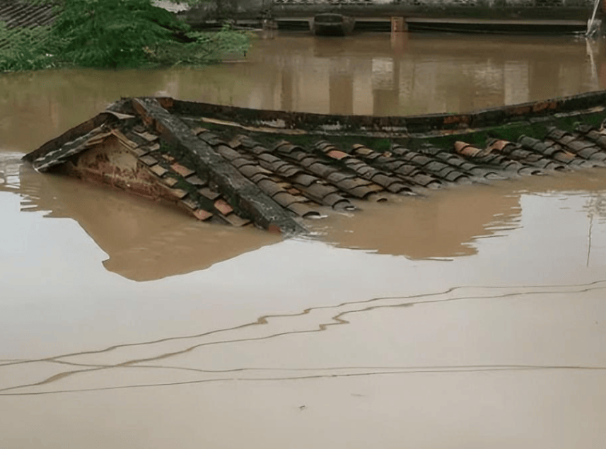 原创            广西村庄被淹4个月！ 牲畜被转移，村民住养老院，官方回应惹众怒-广西被洪水冲走