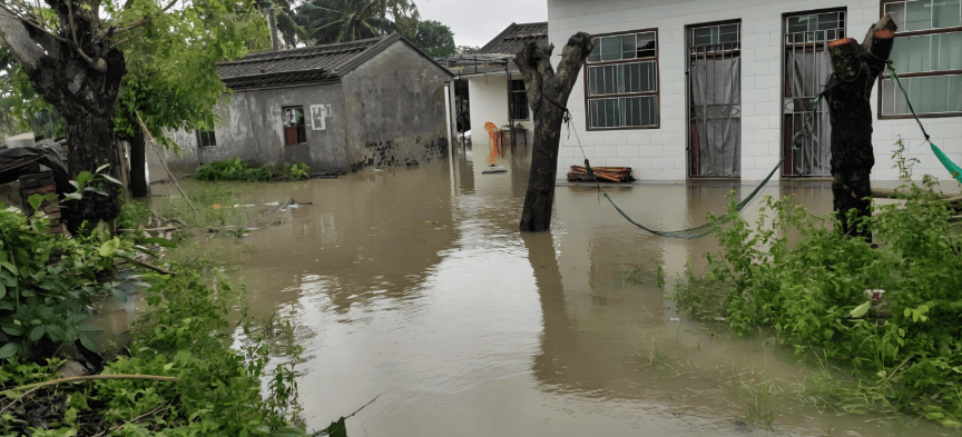 原创            广西村庄被淹4个月！ 牲畜被转移，村民住养老院，官方回应惹众怒-广西被洪水冲走