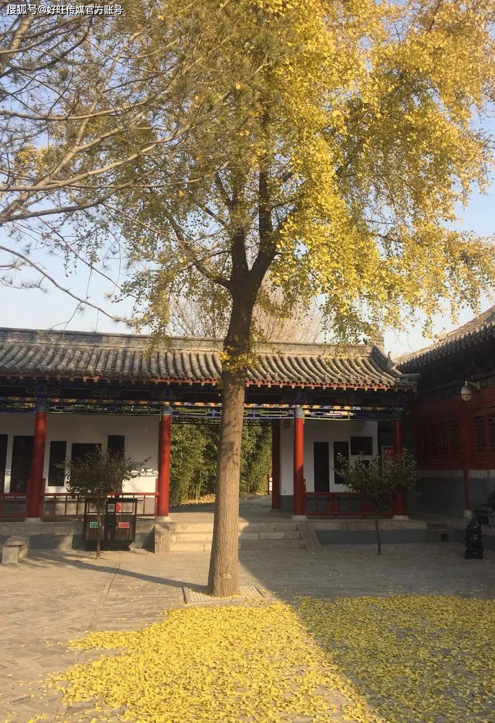 (供图/汤阴岳飞纪念馆)
