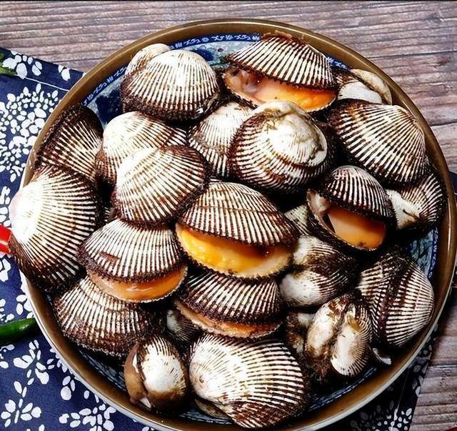 毛蚶,生活在水体底部,世界各地的淡水和咸水环境中广泛分布