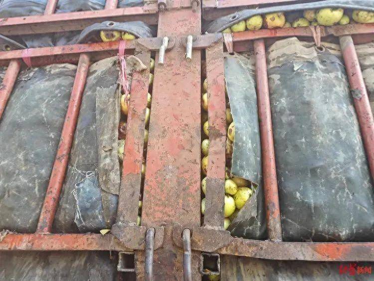 货车拉腐烂水果到安德利果汁厂 市监局：停止经