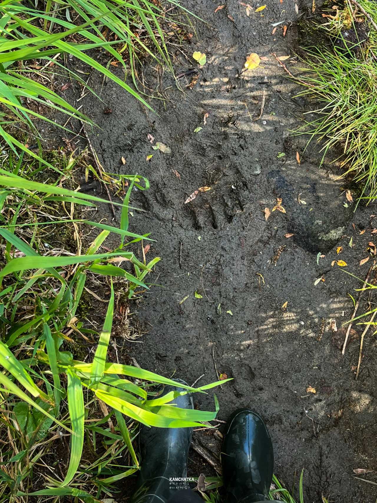 图片[97]-火山、峡谷、城市与熊 ｜ 在亚洲大陆最东端半岛感受地球的脉动 -华闻时空