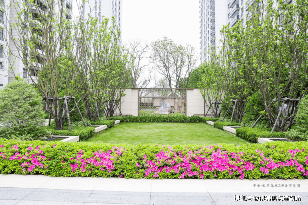 中企云翠森林-上海(云翠森林)首页网站-2024最新房价+户型图+小区环境+配套_空间_电话_三林