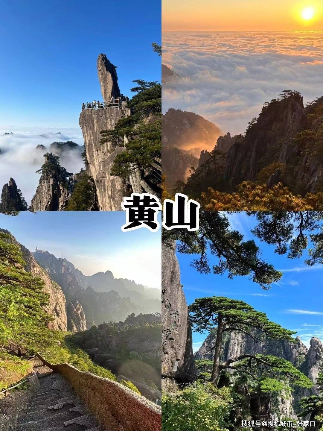 黄山天都多少钱一包图片