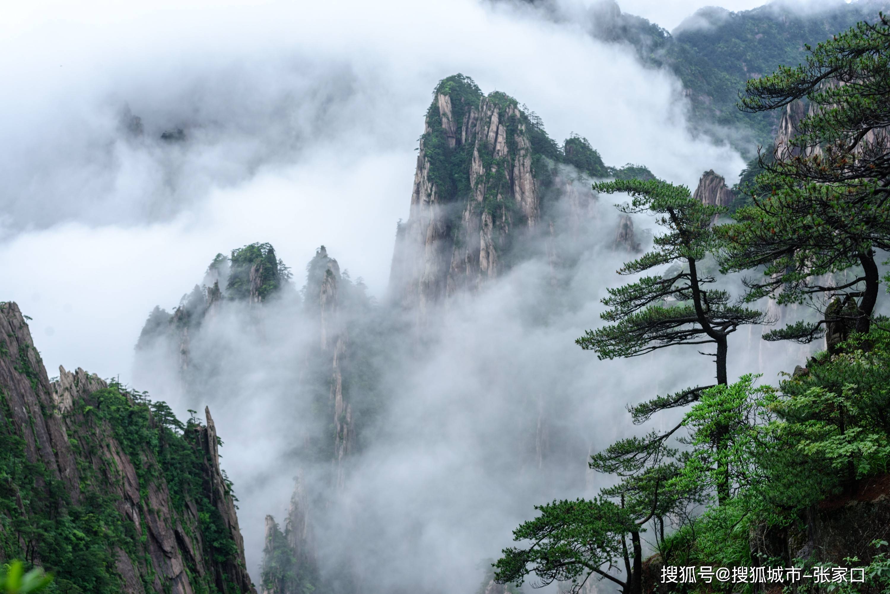 黄山四大景观图片