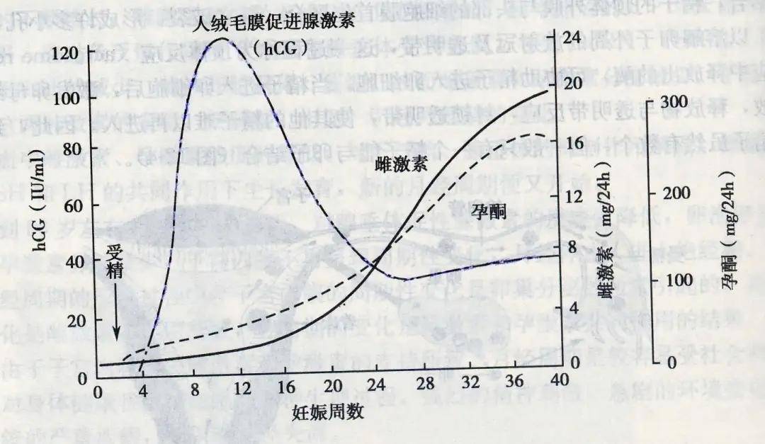 怀孕为什么会腰酸背痛(孕妇怎么度过整个孕期)