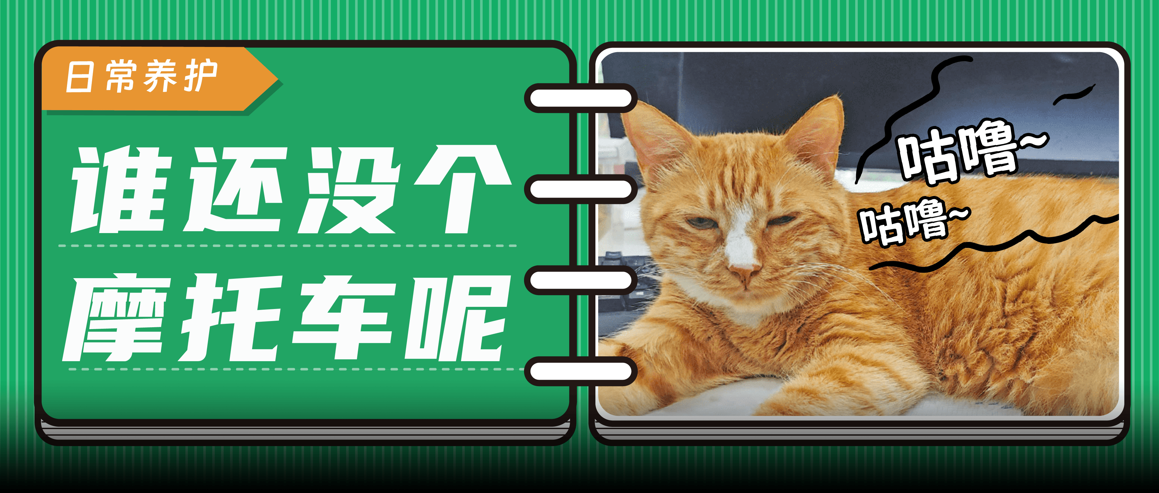 貓咪蛤迷因合集：搞笑貓咪圖片與GIF, image size:3751x1597