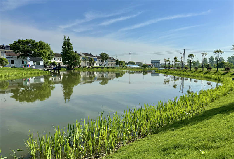 江阴徐霞客镇:治水兴水 打造锡澄一体化"样板区"