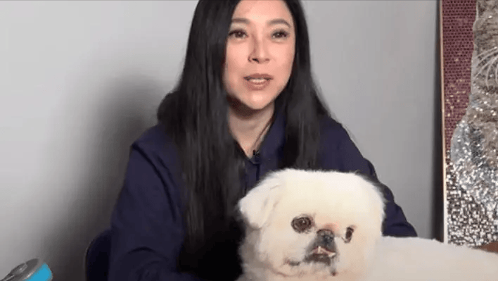 2度豪门梦碎,53岁无儿无女的傅明宪,如今整容成网红脸令人唏嘘