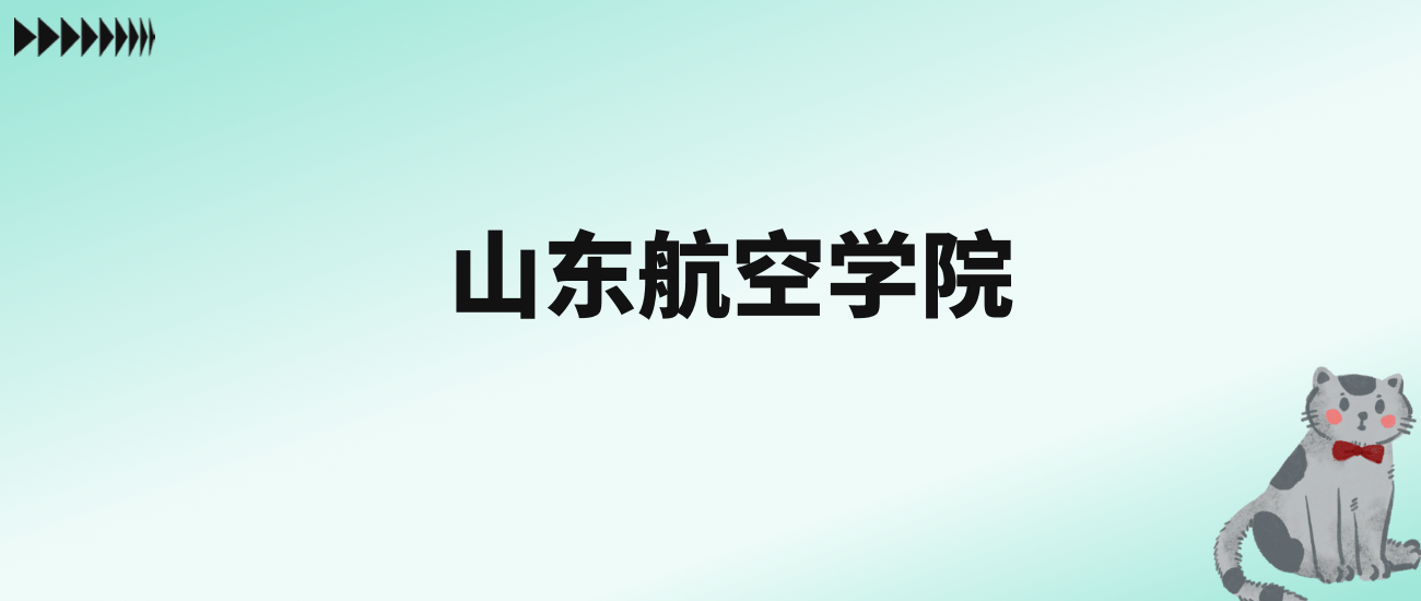 张雪峰评价山东航空学院：王牌专业是电气工程及其自动化