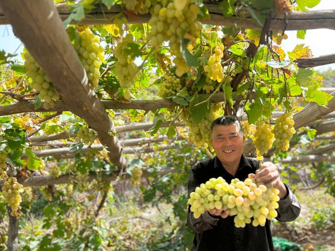 麦尔哈巴的照片图片