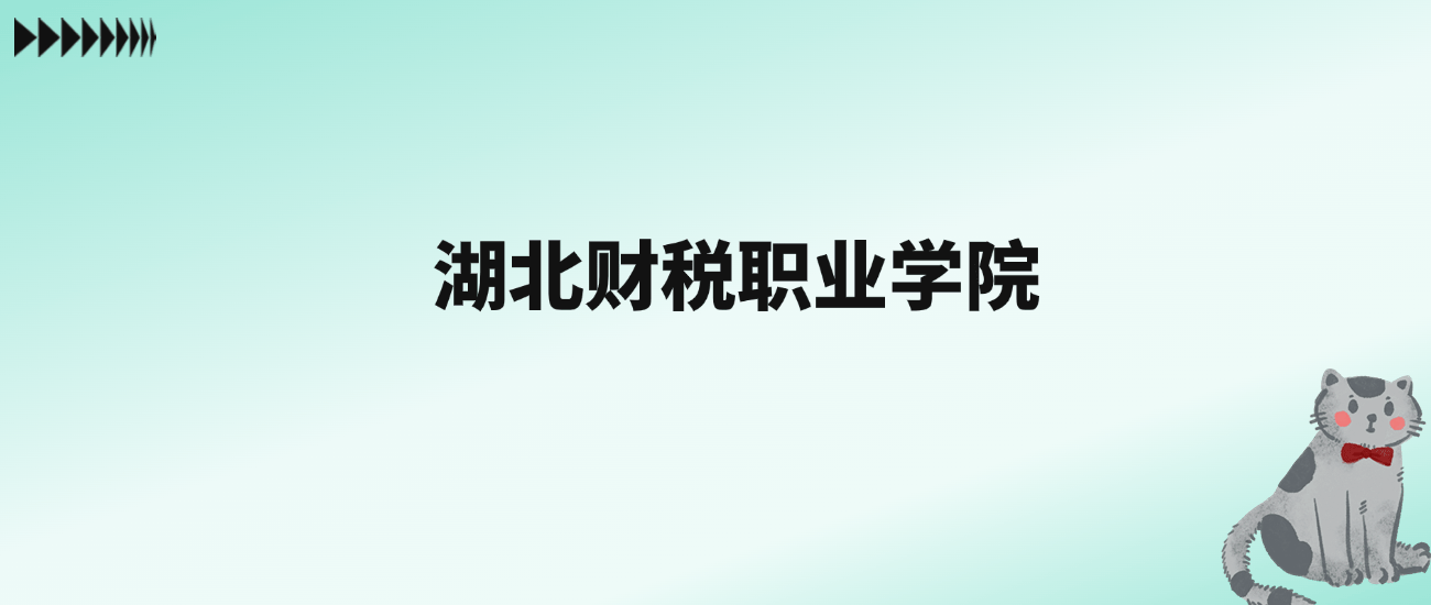 武漢財(cái)稅職業(yè)學(xué)院有多少人_武漢學(xué)院財(cái)務(wù)_武漢財(cái)稅職業(yè)學(xué)院靠譜嗎