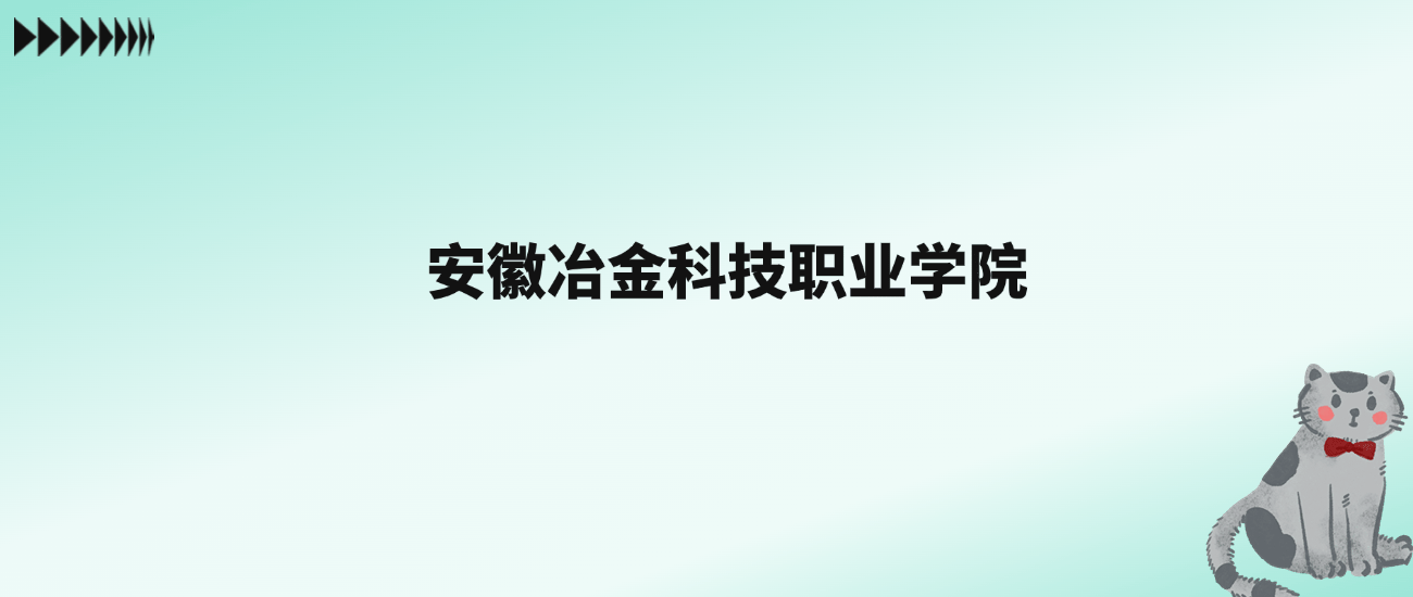 张雪峰评价安徽冶金科技职业学院：王牌专业是电气自动化技术