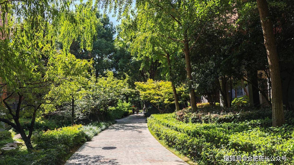 交付二十年依然惊艳,实探蜀山区新华学府花园!